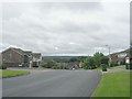 Looking down Redwood Drive - from Langsett Croft