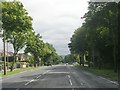 Bradley Road - viewed from Redwood Drive