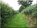 Footpath Near Spaxton