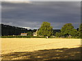 Millmount Farm from the Battery Haugh