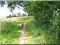 Bridleway, The Oaks