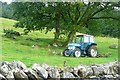 Tractor in Cwm Llynedno