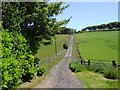 Hill at Littledeanlees