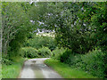 Farm lane near Tregaron, Ceredigion