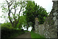 Country lane above Lemnalary