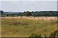 Farmland west of Feltwell