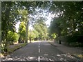 Old Park Road - viewed from Davies Avenue