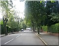 The Avenue - Lidgett Park Road