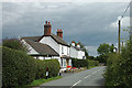 Cattery & cottage