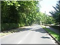 Old Park Road - viewed from Lidgett Park Road