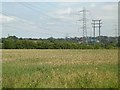 Field at end of Maules Lane