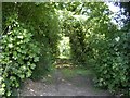 Footpath at end of Maules Lane