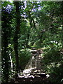 The path through Broom Wood