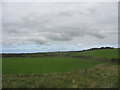 Farmland west of Bryngoleu Farm