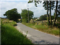 Looking along Gulpher Road