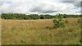 Steelworks site, Glengarnock