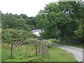 Looking down on Nantyrhogfaen Farm