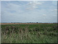 TF2305 : Fenland farmland near Eye Green by Ajay Tegala