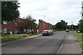 Taunton: Lime Crescent