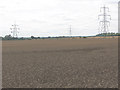 Wheatfield and electricity towers, Gilston