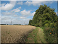 Bridleway west of Gilston Park