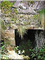 The Entrance to the Waterwheel Chamber, Commonside Corn Mill