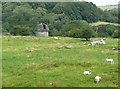 Field with observatory, Giggleswick