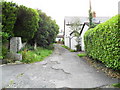 Downhill Avenue, Carnalea