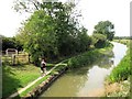 Aylesbury Arm: View from Bridge No 13 clearly showing the bend in the Canal