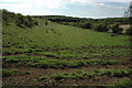 Valley below Luckley Farm