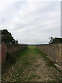 Bridge, Ditchling Common