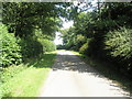 Lane leading eventually to Coates Farm