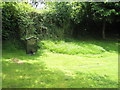 Summer in the churchyard at St Michael, Stanton Long