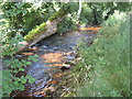 River Nant Bran