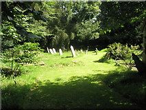 SO5786 : A verdant churchyard at St Margaret, Abdon by Basher Eyre