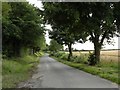 The road to Westley Waterless from Dullingham