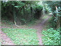 Footpath junction on Darenth Valley Path