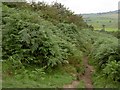 The bridleway from Bradwell Edge