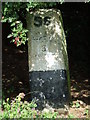 TL6060 : Old Milestone by Keith Evans