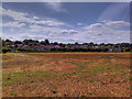 View over Housing Estate in Gascoigne Lane, Ropley