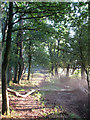 Sussex Border Path