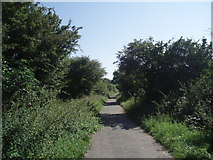 TQ2609 : Path on former Dyke Railway by Paul Gillett