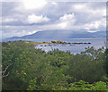 Scrubby coastal area at the north of Kildonald Bay