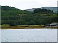 NM6559 : The Glencripesdale Burn reached Loch Sunart by Gordon Brown
