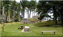 NO5026 : Former Ice House, Tentsmuir Forest by Mick Garratt