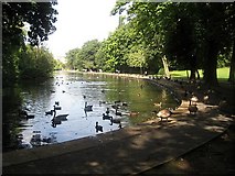 SE3219 : Thornes Park lake by Mike Kirby