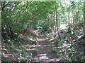 Footpath past Whitley