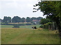 Footpath from New Farm towards Castle Hill