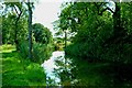 TQ0630 : Wey & Arun Canal by P L Chadwick