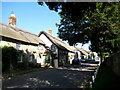 Leafy Church Street  - Puncknowle